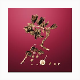 Gold Botanical Red Thorn Apple on Viva Magenta n.3651 Canvas Print