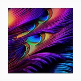 Peacock Feathers 17 Canvas Print