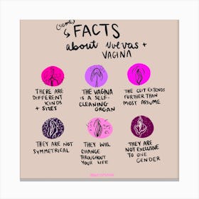 Vulva Facts Canvas Print