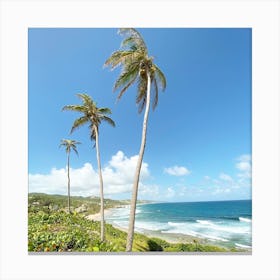 Palm Trees On The Beach Canvas Print