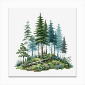 Forest 5 Canvas Print