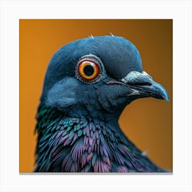 Portrait Of A Pigeon Canvas Print