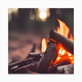 Campfire Stock Photos And Royalty-Free Imagery Canvas Print