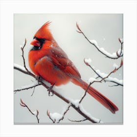 Cardinal In Snow 3 Canvas Print