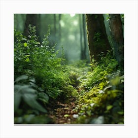 Path In The Forest Canvas Print