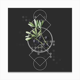 Vintage Olive Tree Branch Botanical with Geometric Line Motif and Dot Pattern n.0204 Canvas Print