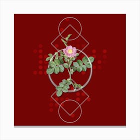 Vintage Pink Sweetbriar Rose Botanical with Geometric Line Motif and Dot Pattern n.0266 Canvas Print
