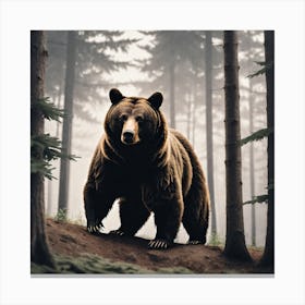 Brown Bear In The Forest 11 Canvas Print