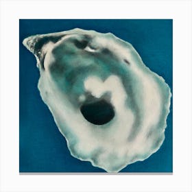 Oyster Shell 2 Canvas Print
