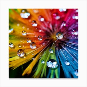 Rainbow Flower Canvas Print