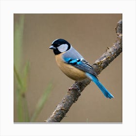 Tit on branch 25 Canvas Print