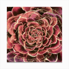 Dahlia 14 Canvas Print