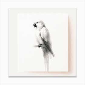 Parrot Painting Canvas Print