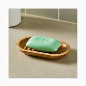 Soap Dish Canvas Print