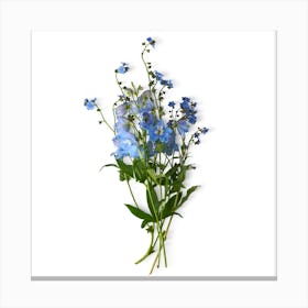 Forget-Me-Nots Canvas Print