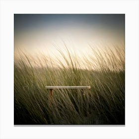 Firefly Minimalistic, Soft, Light, Depth, Field, Photorealistic, Scene, Subtle, Clean, Modern, Seren (10) Canvas Print