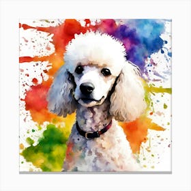 Poodle, National Pet Day! Canvas Print