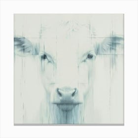 Cow White Canvas Print