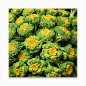 Close Up Of Broccoli 15 Canvas Print