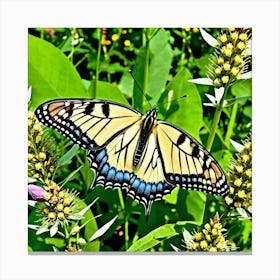 Swallowtail Butterfly 4 Canvas Print