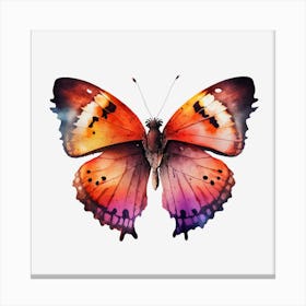 Watercolor Butterfly Isolated On Black Background Canvas Print