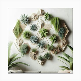 Wall Of Succulents Canvas Print