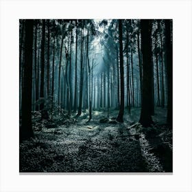 Firefly Dark And Moody Forest Deep Shadows And High Contrast For A Dramatic, Atmospheric Scene 1 Canvas Print