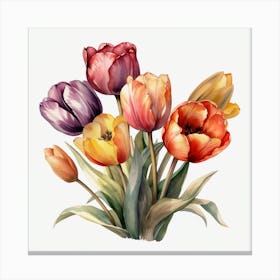 Watercolor Tulips 2 Canvas Print