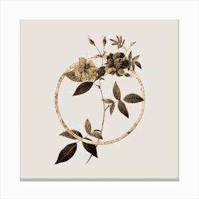 Gold Ring Hudson Rosehip Glitter Botanical Illustration n.0323 Canvas Print