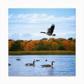 Canadian Geese 41 Canvas Print