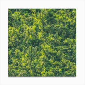 Aerial View Of Palm Trees Canvas Print