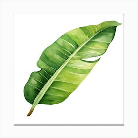 Watercolor Banana Leaf Canvas Print