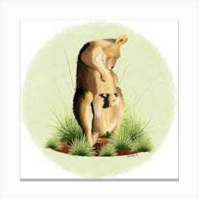 Kangaroo/Kangourou Canvas Print