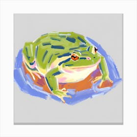 American Bullfrog 02 Canvas Print