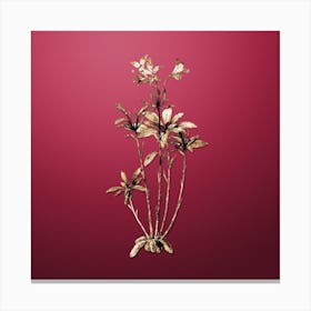 Gold Botanical Lily of the Incas on Viva Magenta n.0429 Canvas Print