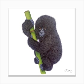 Baby Gorilla. 1 Canvas Print