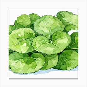 Kale Leafs Canvas Print