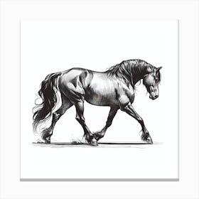 Horse Galloping 3 Canvas Print