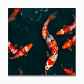 Koi Fish 87 Canvas Print