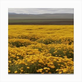 Vast Field Of Yellow Canvas Print