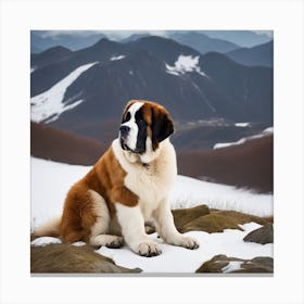 St Bernard Dog In Mountain (20) Canvas Print