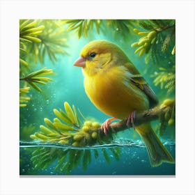 Canary 9 Canvas Print