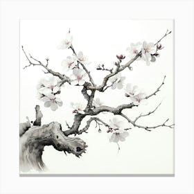 Ink Cherry Blossoms Branches 7 Canvas Print