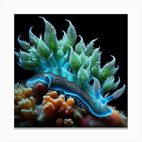 Sea Slug 2 Canvas Print