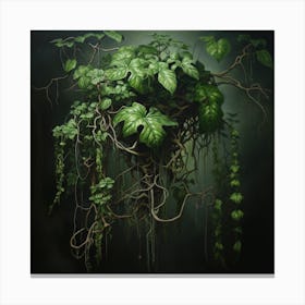 Ferns And Vines Canvas Print