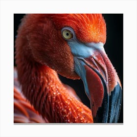 Flamingo Portrait 5 Canvas Print