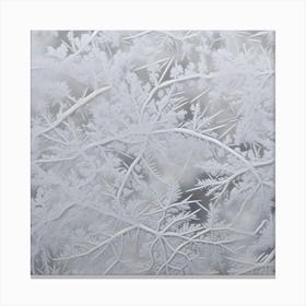 Frosty Window 3 Canvas Print