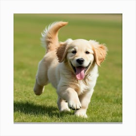 Golden Retriever Puppy Running Canvas Print