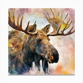 Moose Painting Canvas Print