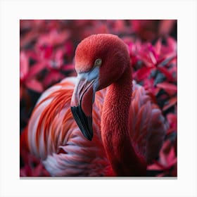 Flamingo 10 Canvas Print